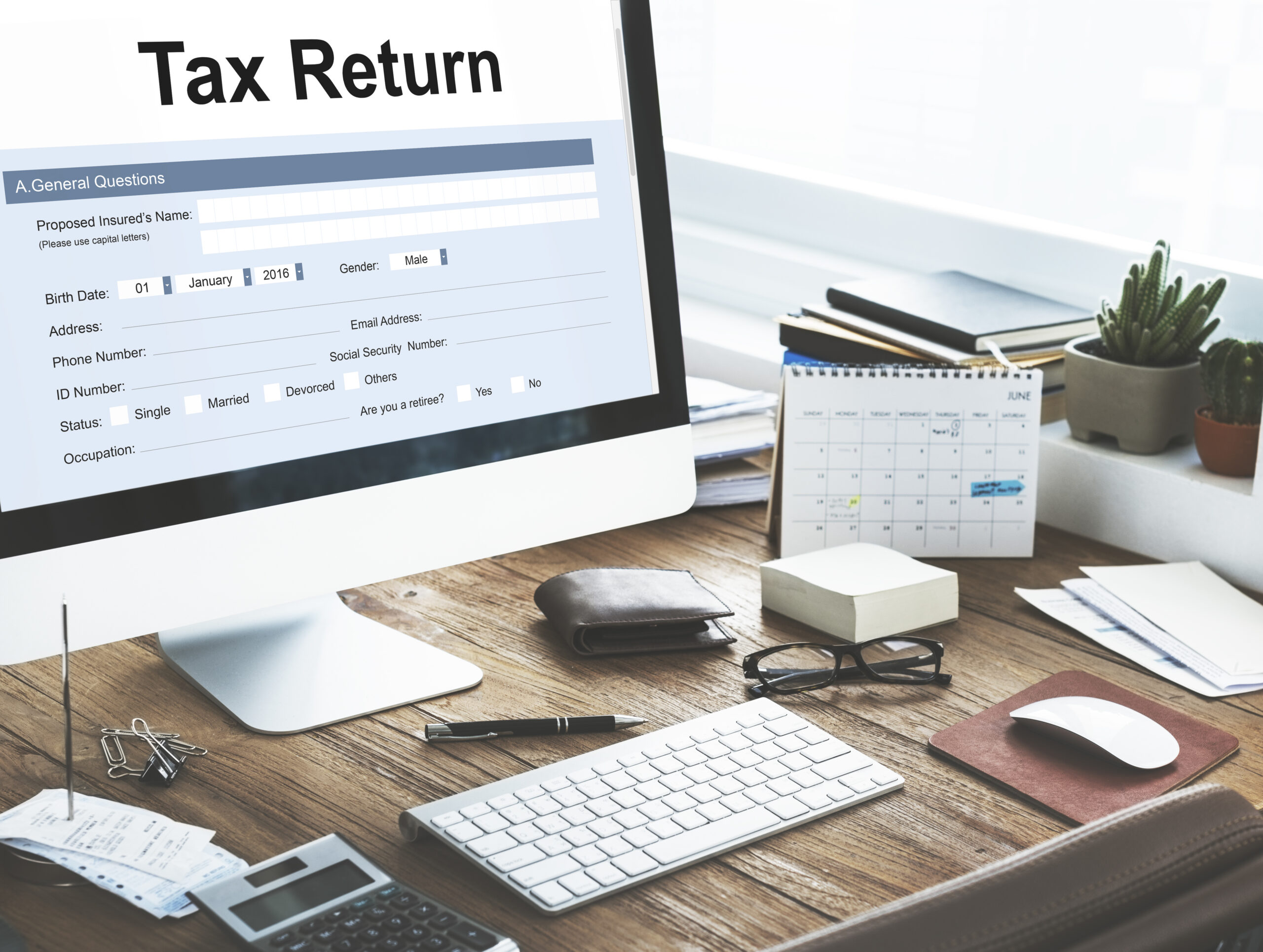 Income Tax Filing & Tax Advisory Services